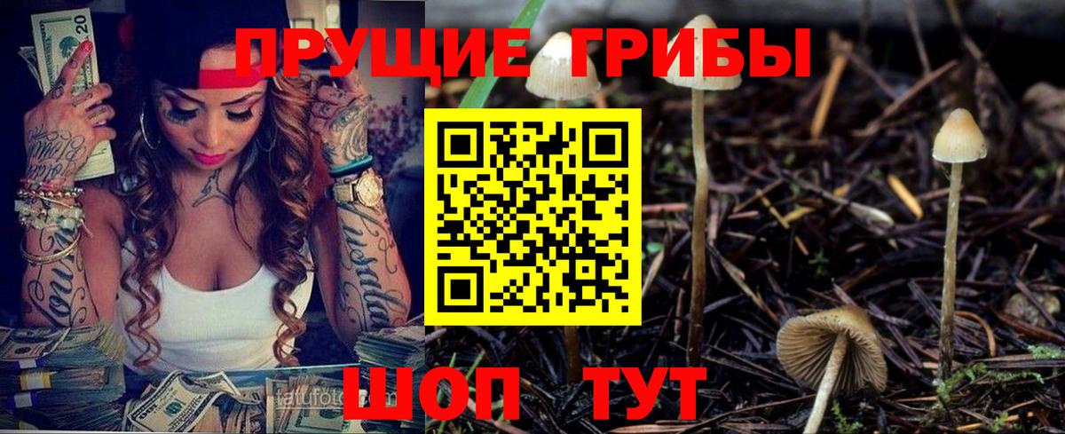 Галлюциногенные грибы мицелий Донецк